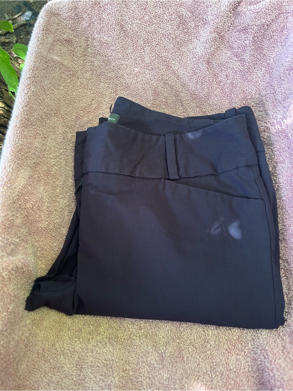 The Limited Black Exact Stretch Dress Pants